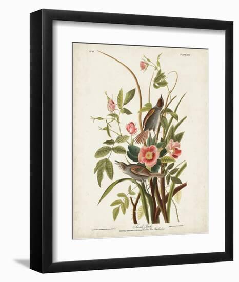 Pl 93 Seaside Finch-John James Audubon-Framed Art Print