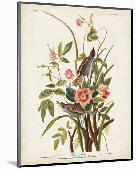 Pl 93 Seaside Finch-John James Audubon-Mounted Art Print