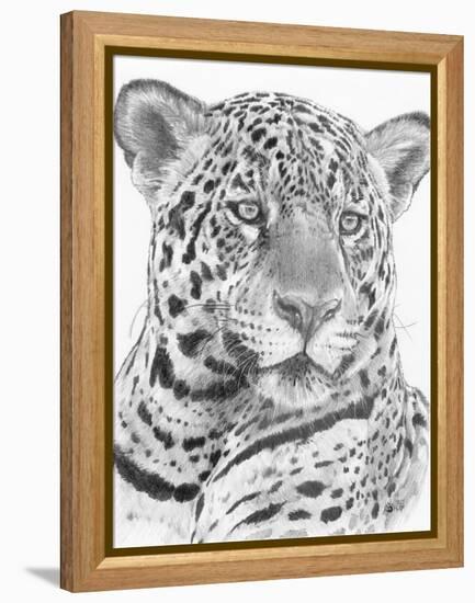 Placate-Barbara Keith-Framed Premier Image Canvas