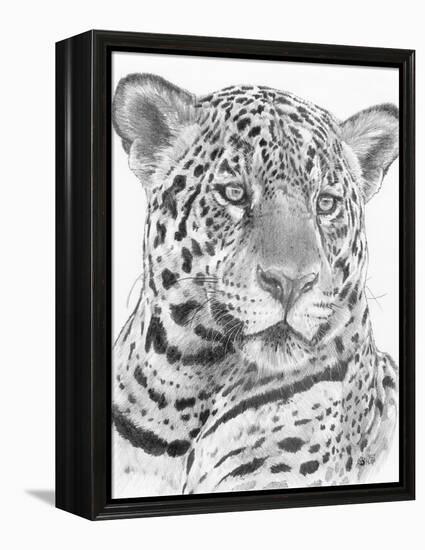 Placate-Barbara Keith-Framed Premier Image Canvas