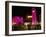 Place d'Etoile at Night, Beirut, Lebanon, Middle East-Alison Wright-Framed Photographic Print