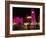 Place d'Etoile at Night, Beirut, Lebanon, Middle East-Alison Wright-Framed Photographic Print