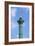 Place de la Bastille FFA4560-Cora Niele-Framed Giclee Print