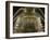 Place De La Concorde Fountains at Night, Paris, France, Europe-Pitamitz Sergio-Framed Photographic Print