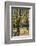 Place Des Vosges-Guido Cozzi-Framed Photographic Print