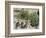 Place Du Theatre-Francais, Spring, 1898-Camille Pissarro-Framed Giclee Print