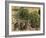 Place Due Theatre Francais, 1898-Camille Pissarro-Framed Art Print