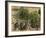 Place Due Theatre Francais, 1898-Camille Pissarro-Framed Art Print