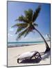 Place of Relaxation, Tulum Ruins, Quintana Roo, Mexico-Julie Eggers-Mounted Photographic Print