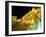 Place Stanislas at Night, Nancy, Meurthe-Et-Moselle, Lorraine, France-Bruno Barbier-Framed Photographic Print