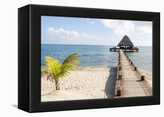 Placencia, Belize. Roberts Grove Resort. Bar on Roof Covered Pier-Trish Drury-Framed Premier Image Canvas