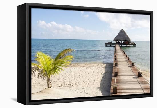 Placencia, Belize. Roberts Grove Resort. Bar on Roof Covered Pier-Trish Drury-Framed Premier Image Canvas