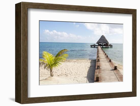 Placencia, Belize. Roberts Grove Resort. Bar on Roof Covered Pier-Trish Drury-Framed Photographic Print