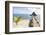 Placencia, Belize. Roberts Grove Resort. Bar on Roof Covered Pier-Trish Drury-Framed Photographic Print