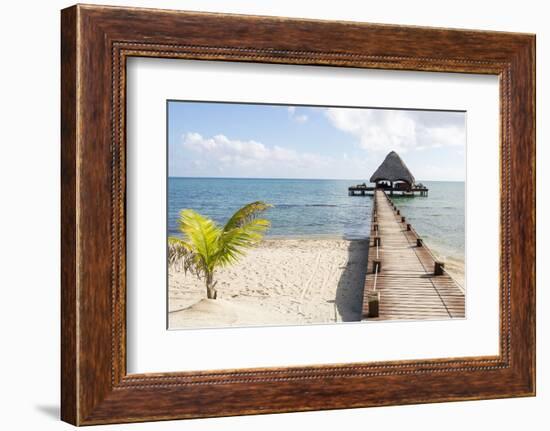 Placencia, Belize. Roberts Grove Resort. Bar on Roof Covered Pier-Trish Drury-Framed Photographic Print