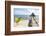 Placencia, Belize. Roberts Grove Resort. Bar on Roof Covered Pier-Trish Drury-Framed Photographic Print