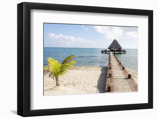 Placencia, Belize. Roberts Grove Resort. Bar on Roof Covered Pier-Trish Drury-Framed Photographic Print