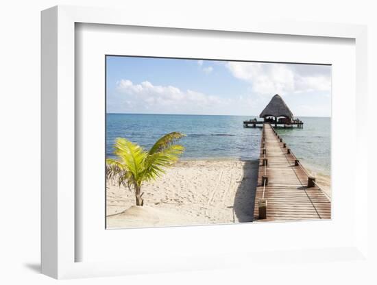 Placencia, Belize. Roberts Grove Resort. Bar on Roof Covered Pier-Trish Drury-Framed Photographic Print