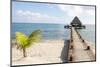 Placencia, Belize. Roberts Grove Resort. Bar on Roof Covered Pier-Trish Drury-Mounted Photographic Print