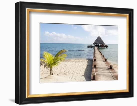 Placencia, Belize. Roberts Grove Resort. Bar on Roof Covered Pier-Trish Drury-Framed Photographic Print