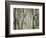 Placid Forest-Karla Gerard-Framed Giclee Print