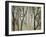 Placid Forest-Karla Gerard-Framed Giclee Print