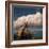 Placid-Thorsteinn H.-Framed Photographic Print