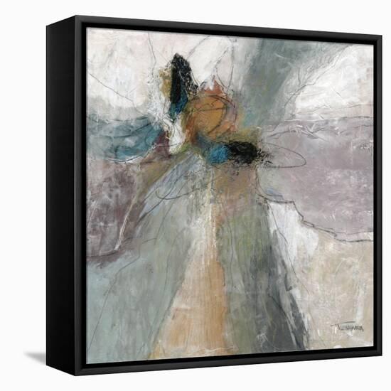 Placidity I-Michael Tienhaara-Framed Stretched Canvas