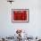 Placques Adorn the Fence of the Four Gates Buddhist Temple, Shandong Province, Jinan, China-Bruce Behnke-Framed Photographic Print displayed on a wall