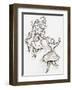 Plafond de l'Opéra: le Lac des Cygnes-Marc Chagall-Framed Collectable Print