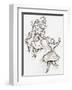 Plafond de l'Opéra: le Lac des Cygnes-Marc Chagall-Framed Collectable Print