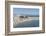 Plage de la Gravette, Antibes, Alpes-Maritimes, Cote d'Azur, Provence, French Riviera, France, Medi-Fraser Hall-Framed Photographic Print