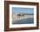 Plage de la Gravette, Antibes, Alpes-Maritimes, Cote d'Azur, Provence, French Riviera, France, Medi-Fraser Hall-Framed Photographic Print