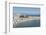 Plage de la Gravette, Antibes, Alpes-Maritimes, Cote d'Azur, Provence, French Riviera, France, Medi-Fraser Hall-Framed Photographic Print