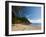 Plage du Figuier, Iles Des Saintes, Terre de Haut, Guadeloupe, French Caribbean-Sergio Pitamitz-Framed Photographic Print