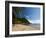 Plage du Figuier, Iles Des Saintes, Terre de Haut, Guadeloupe, French Caribbean-Sergio Pitamitz-Framed Photographic Print