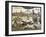 Plague Of London, 1665-null-Framed Giclee Print