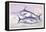 Plain Bonito and Swordfish-Robert Hamilton-Framed Stretched Canvas