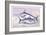 Plain Bonito and Swordfish-Robert Hamilton-Framed Art Print