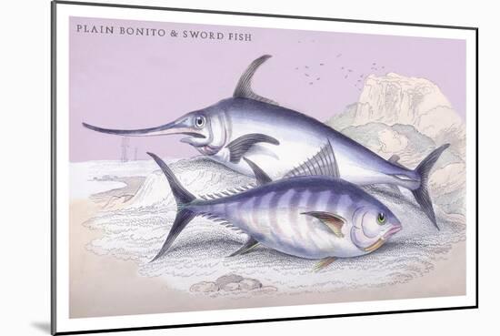 Plain Bonito and Swordfish-Robert Hamilton-Mounted Art Print