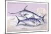 Plain Bonito and Swordfish-Robert Hamilton-Mounted Art Print