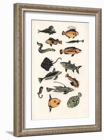 Plain Fish, 2015-Eliza Southwood-Framed Giclee Print