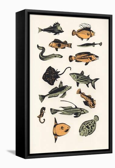 Plain Fish, 2015-Eliza Southwood-Framed Premier Image Canvas