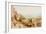 Plain of Meander, Asia Minor-Thomas Allom-Framed Giclee Print