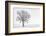 Plain Piedmont, Piedmont,Turin, Italy. Trees in the mist-ClickAlps-Framed Photographic Print