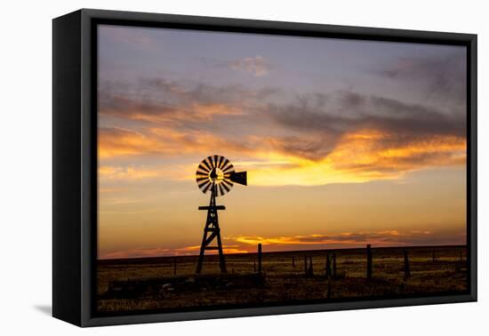 Plains Windmill-Dan Ballard-Framed Premier Image Canvas