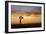 Plains Windmill-Dan Ballard-Framed Photographic Print