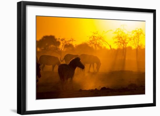 Plains Zebra, Makgadikgadi Pans National Park, Botswana-Paul Souders-Framed Photographic Print