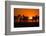 Plains Zebra, Makgadikgadi Pans National Park, Botswana-Paul Souders-Framed Photographic Print