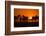 Plains Zebra, Makgadikgadi Pans National Park, Botswana-Paul Souders-Framed Photographic Print